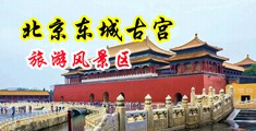 黄色看片操逼网站中国北京-东城古宫旅游风景区